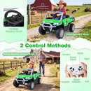 12V Kids' Ride-On Car with Dual 50W Motors and Remote Control for Kids - Green - product detail 9