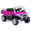 12V Kids' Ride-On Car with Dual 50W Motors and Remote Control for Kids - Rose - product detail 4