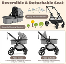 Rever Bebe Strider 2 in 1 Convertible Baby Pram Jogger