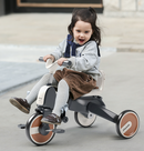 Rever Bebe 7 in 1 Foldble Trike kids bike