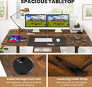 Ergonomic Electric Standing Desk