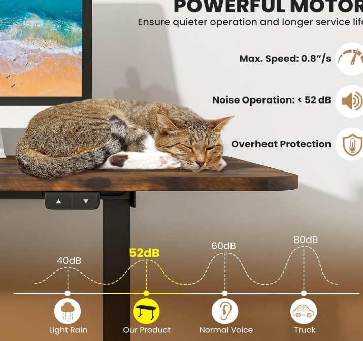 Ergonomic Electric Standing Desk