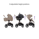 Breez Champagne + Maxi Cosi Car Capsule Bundle — image 5