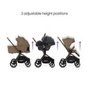 Breez Maple + Maxi Cosi Car Capsule Bundle — image 5