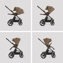 Cove 2 Maple + Maxi Cosi Car Capsule Bundle — image 6
