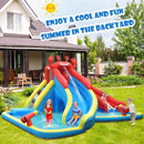 Inflatable Water Slide with Climbing Wall and Splash Pool  view 1