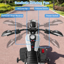 6V Kids Electric Motorcycle with Detachable Training Wheels and Music - product detail 6