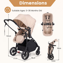 BC10275AU-BE Beige stroller dimensions and folded size