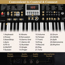 61-Key Light-Up Keyboard with Adjustable Stand and Stool – Black