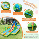 Inflatable Water Park with Slide, Tunnel and Play Zones – NP11236