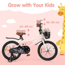 Kids Bicycle with Basket and Training Wheels – TS10237PI-18