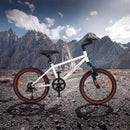 Kids Mountain Bike with Suspension Fork – White / 20 inches