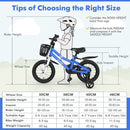 Kids Bike with Basket, Handbrake and Coaster Brake – 14 inches / Blue