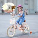 Kids First Bike with Basket and Training Wheels – TS10086PI-14