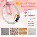 Kids First Bike with Basket and Training Wheels – TS10086RE-14