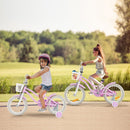 Kids First Bike with Basket and Training Wheels – TS10086ZS-14