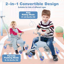 2-in-1 Toddler Push Car with Light-Up Wheels – Blue