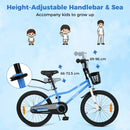 Kids Bike with Basket, Handbrake and Coaster Brake – 20 inches / Blue