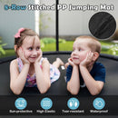 8ft Outdoor Trampoline with Enclosure and Ladder – Black