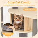 Cozy cat condo with a wide platform and removable soft cushion, perfect for lounging and observing in small spaces.