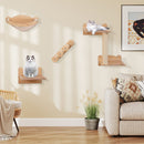 Wall-mounted cat shelves set of 4 in natural wood, featuring a hammock and 2-step cat tree for climbing and resting.