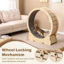 101 cm Wooden Cat Exercise Wheel with Lock – view 6