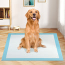 100-Pack 90 × 90 cm Puppy Training Pads – Blue view 1