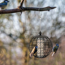 Metal Hanging Bird Feeder with Protective Cage – 3 kg – image 1