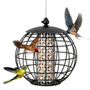 Metal Hanging Bird Feeder with Protective Cage – 3 kg – image 4