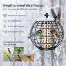 Metal Hanging Bird Feeder with Protective Cage – 3 kg – image 10