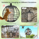 Metal Hanging Bird Feeder with Protective Cage – 3 kg – image 11