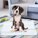 75 × 75 cm Disposable Puppy Training Pads – 150 Pack – view 8