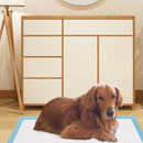 75 × 75 cm Disposable Puppy Training Pads – 150 Pack – view 9