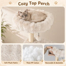 170 cm Cat Tower with Two-Entry Condo and Padded Perch – view 6