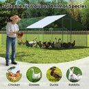310 × 505 cm Walk-In Chicken Run with Oxford Canopy – view 9
