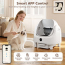 Open-Top Automatic Cat Litter Box with App Control – view 4
