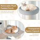 Removable plush padded perch and transparent space capsule on a modern 113 cm cat tree for cozy lounging and.