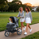 3-wheel pet stroller in grey for small to medium dogs, featuring all-terrain wheels and adjustable canopy for outdoor.