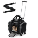 Foldable black pet carrier with wheels, telescopic handle, and breathable mesh, ideal for travel with your pet.