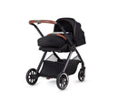 Reef Orbit Soft Shell Bassinet — image 4