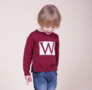 Toddler boy/girl sweater