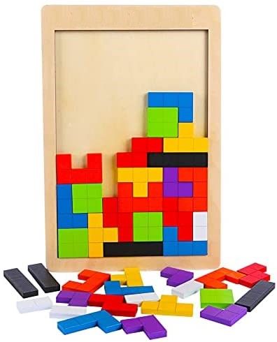 40 Pieces Wooden Blocks Puzzle Brain Teasers for Kids Montessori model