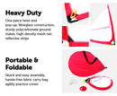 Portable Kids Soccer Goals Complete Set