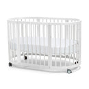 Cocoon Lolli Furniture Sprout 4 in 1 Cot